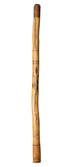 Heartland Didgeridoo (HD582)